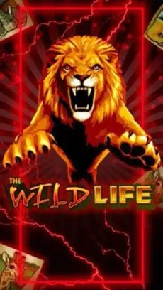 Wild Life Casino screenshot